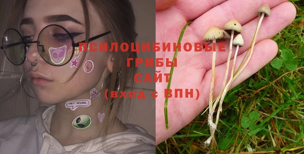Альфа ПВП Нефтекумск