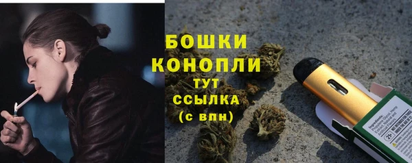 Альфа ПВП Нея