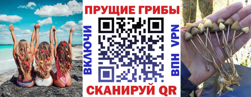 Псилоцибиновые грибы Magic Shrooms Шуя