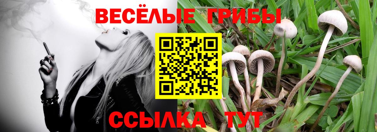 Псилоцибиновые грибы мухоморы Шуя