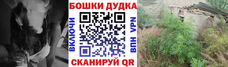 Конопля THC 21%  цена наркотик  Шуя 
